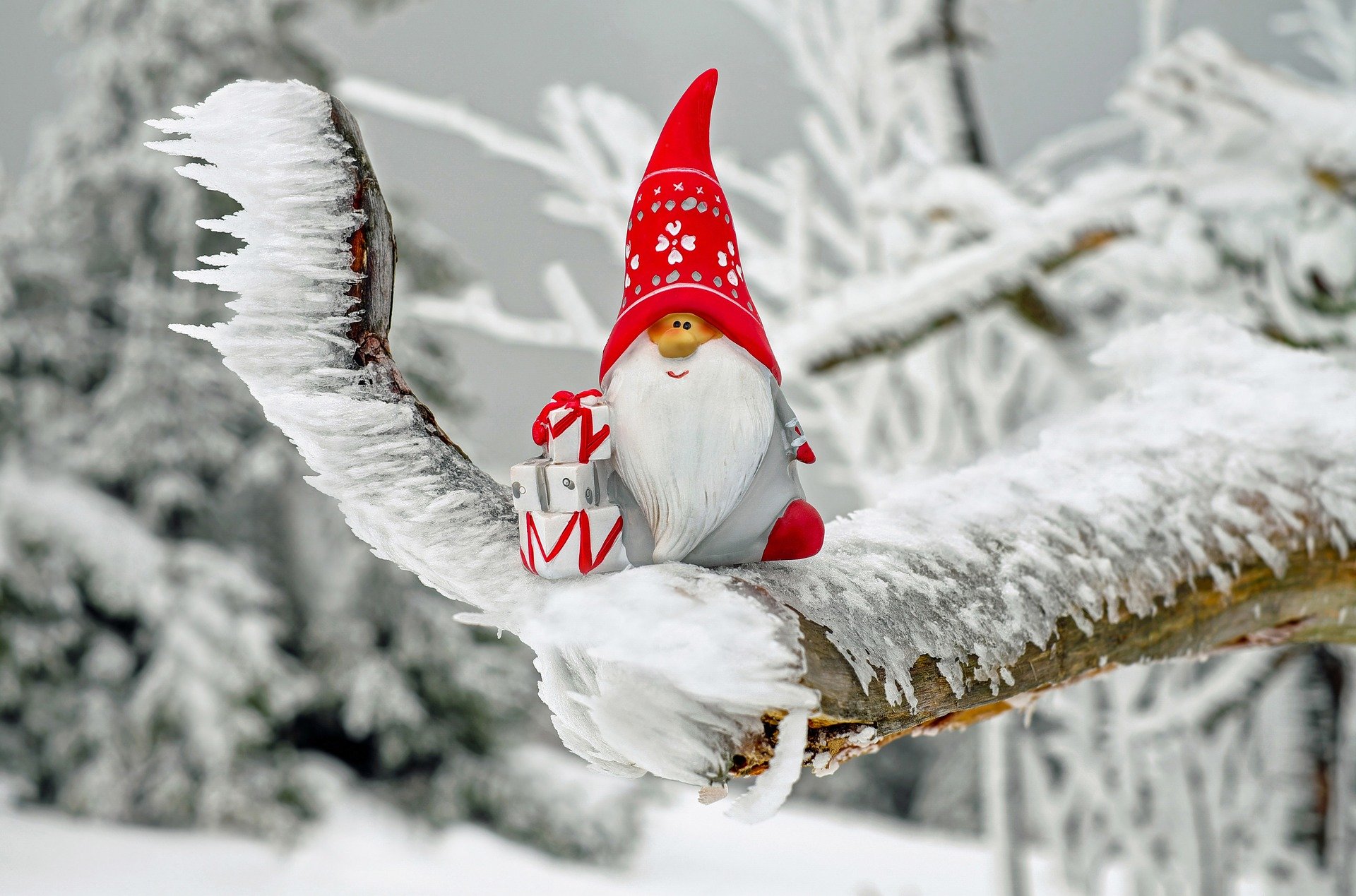 Weihnachtsmann-Figur auf verschneitem Ast